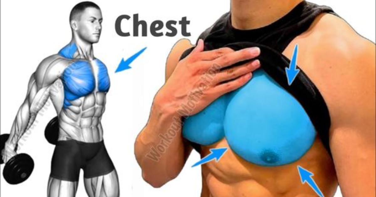 7 Best Dumbbell Chest Exercises Standing Gorgeous Writes 